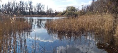 Luchpfuhl in Süd am Weltwassertag